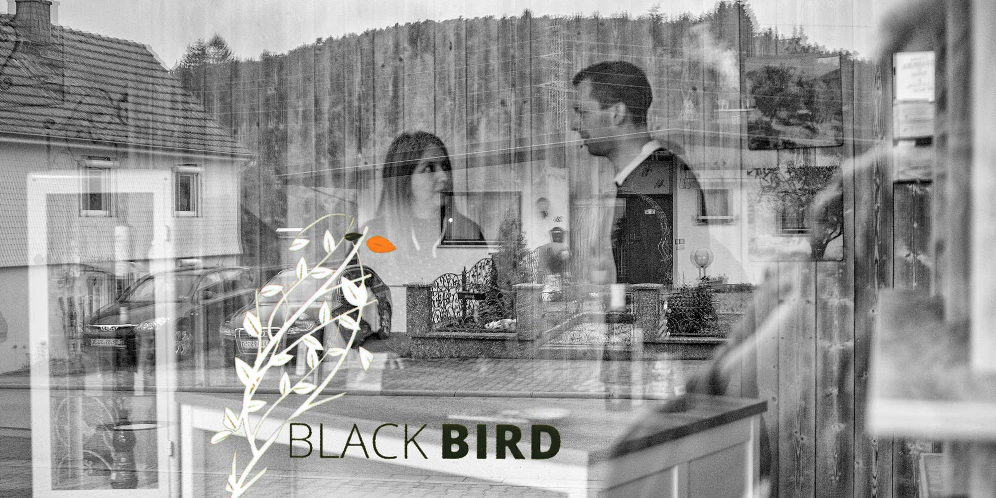 Blackbird Olivenoel – von Lesbos nach Mossautal