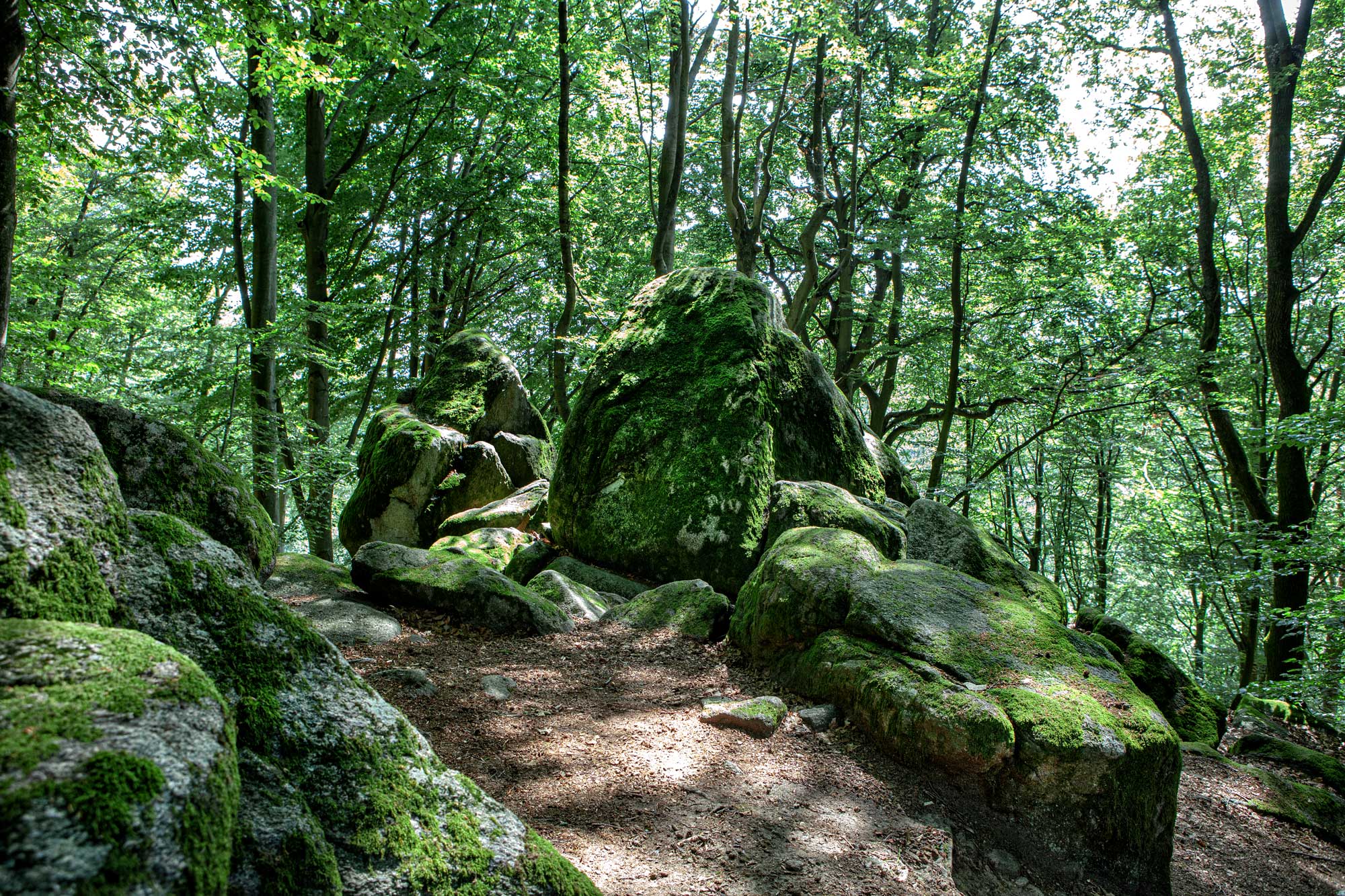 Am Wildweibchenstein bei Laudenau im Odenwald