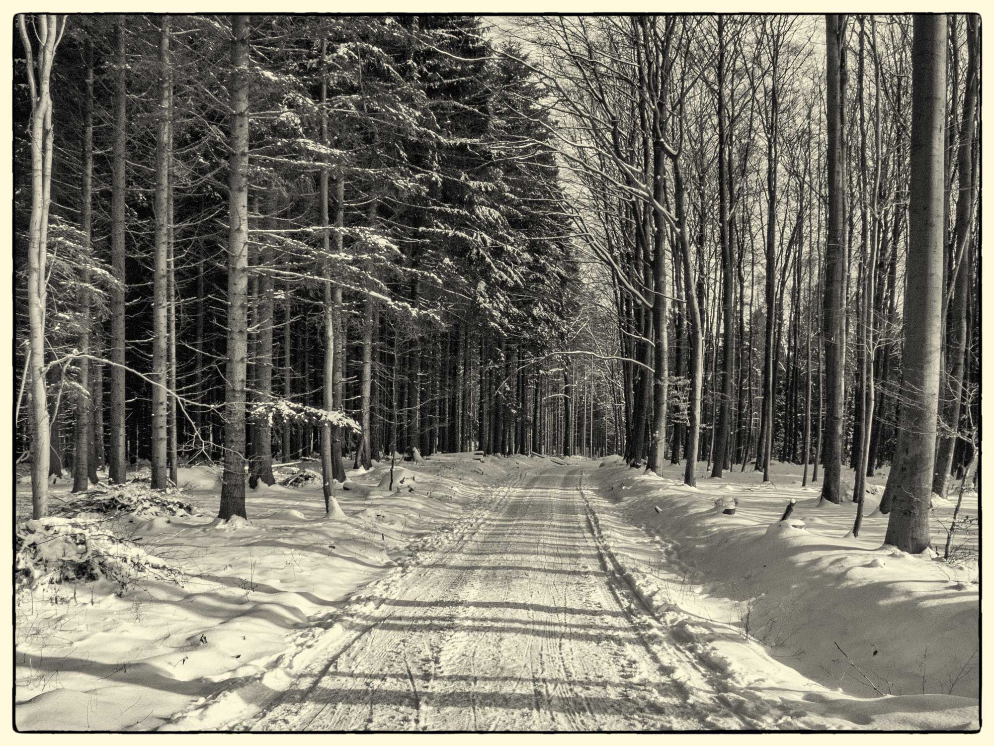 Winter im Odenwald.