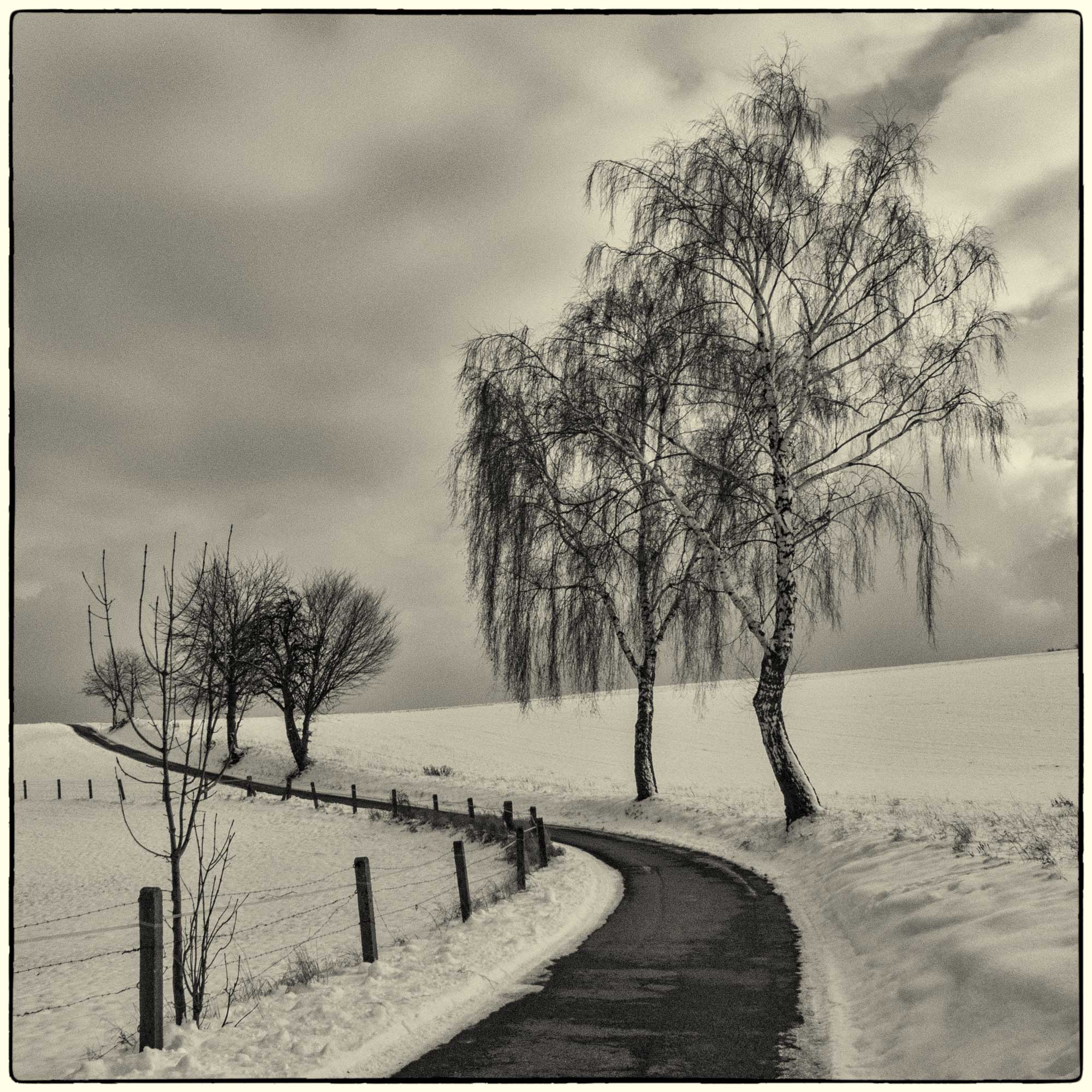 Winter im Odenwald zwischen Messbach und Nonrod.